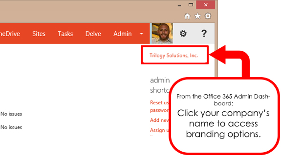 Office 365 Theme Options From Admin Panel
